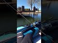 Sezon rozpoczęty od okoni #fishing #wędkarstwo #fyp#okoń