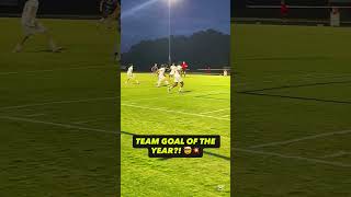 The Best Type Of Teamwork