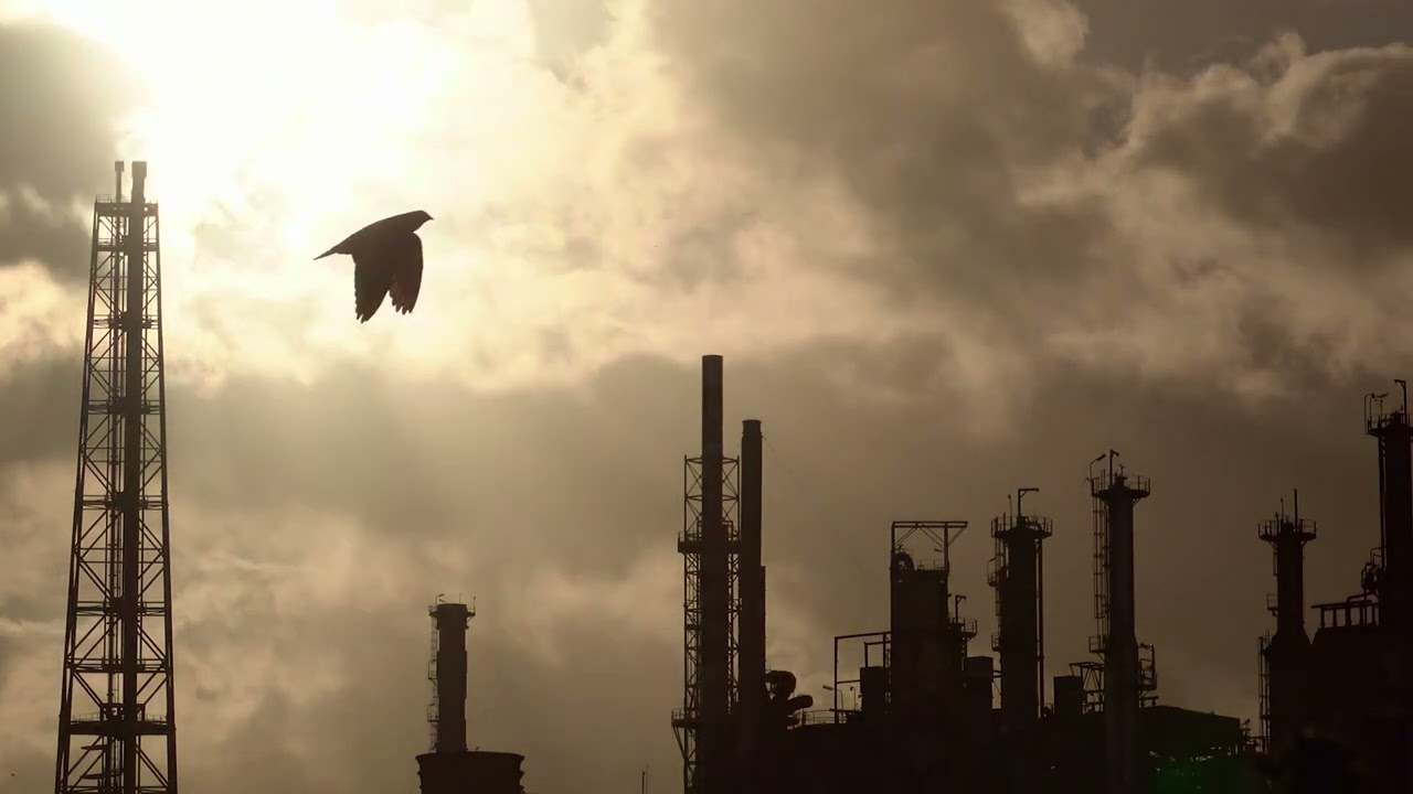 VIOLENCE IS HEATING UP: Climate Change’s Effect on Gender-Based Violence