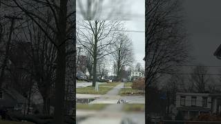 Tree knocks down power poles and blocks roadway #miwx #tree #tornado #michigan