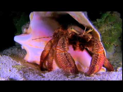 ვაშინგტონი დღეს, 19 აპრილი, 2015