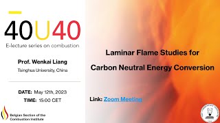Wenkai Liang - Laminar flame studies for carbon neutral energy conversion