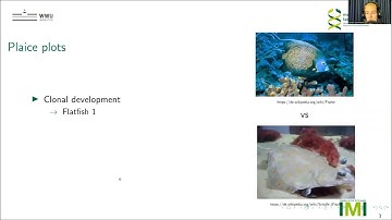 Plaice plots - an allele-aware visualization of... - Sarah Sandmann - BioVis - Abstract - ISMB 2022