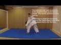 Seventy Second Seminar Gedan Barai Oi Tsuki Bunkai