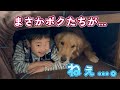 はるかに予想を超えたバズり方に驚くトトファミリー