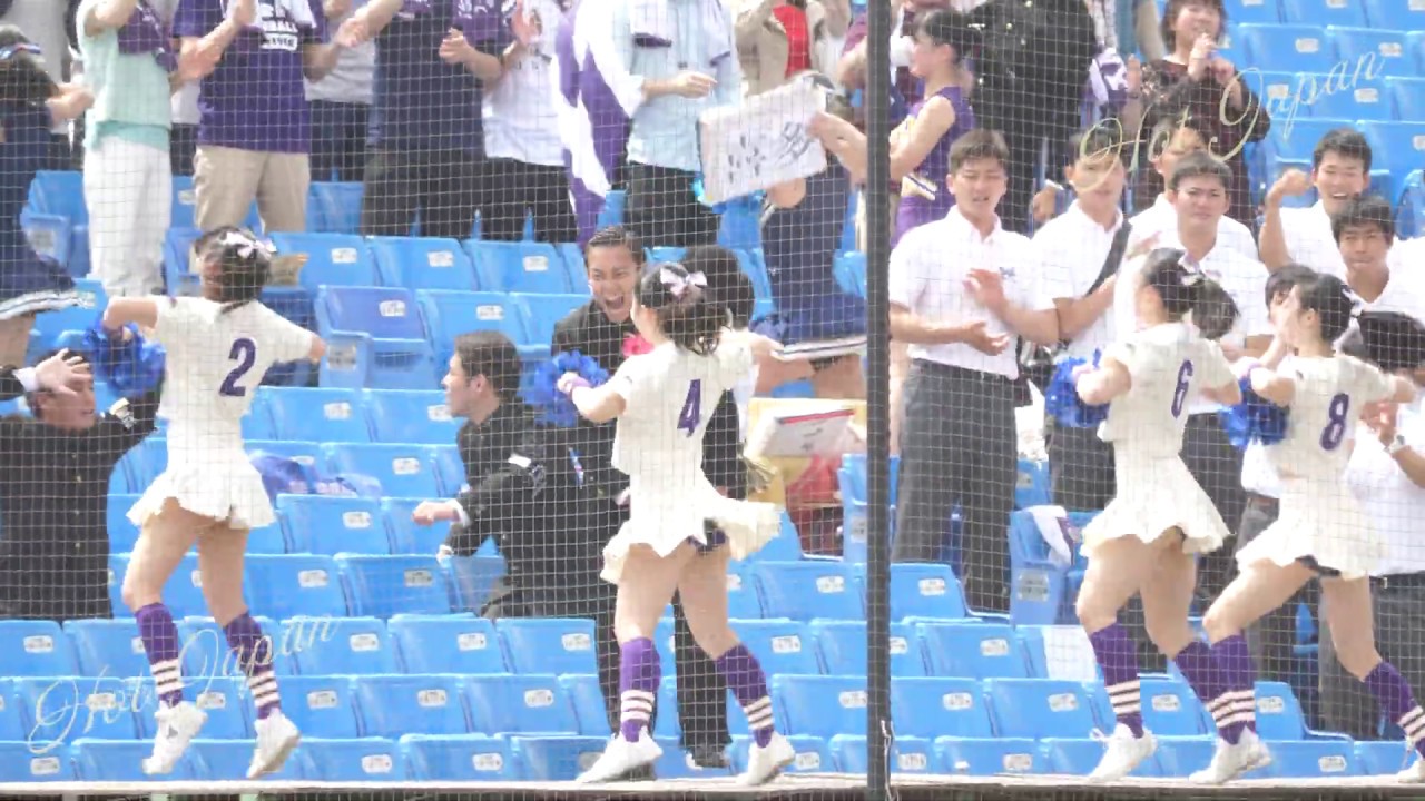 2019六大学野球チア③ 明治慶応戦② 慶応に負けないように明治の応援チアリーダーさんたちの渾身の応援!!