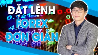 Bí Mật Forex #4 | Cách Vào Lệnh Đơn Giản – Buy Sell/ Buy Stop/ Take Profit/ Stop Loss - mForex