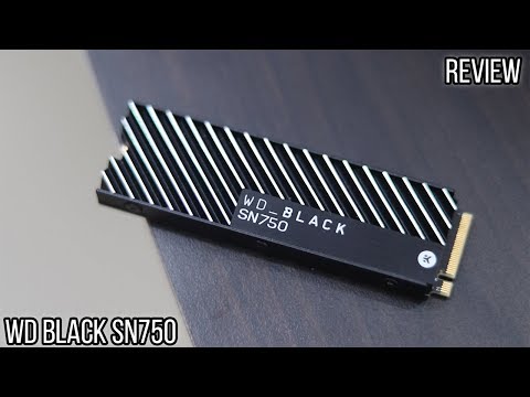 WD Black SN750 (1TB) Review: This SSD is FAST!!