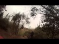 MTB