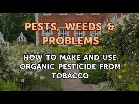 How to Make and Use Organic Pesticide From Tobacco