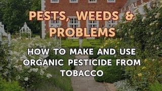 tobacco free campaign Media Campaign Resource Center (MCRC) Ad: CDC Tobacco Free: 2022 English  Social Media Images