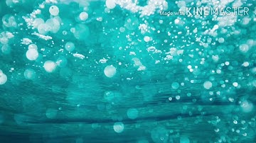 تلاوة خاشعة ل اواخر سورة البقرة بصوت القاريء احمد عبد الرحيم 😥😥