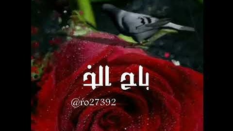 #صباح_الخير#اذكار_الصباح