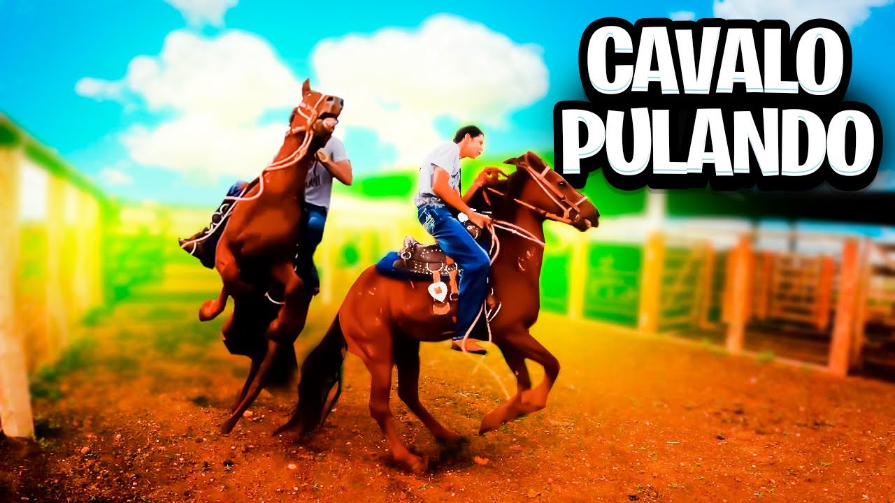 Foto de De Cavalo Pulando e mais fotos de stock de Cavalo