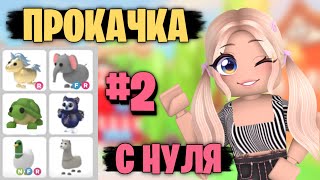 ПРОКАЧКА С НУЛЯ В АДОПТ МИ! 2 ЧАСТЬ! ПРОКАЧАЛА ИНВЕНТАРЬ!? ОТ НУБ ДО ПРО! | ADOPT ME Roblox