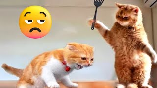 Download Lagu New FUNNIEST PETS EVER 2025 😂 You Won’t Believe #26! MP3