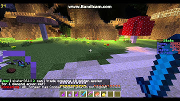 Will_Scheer Auto-Sneak, Speed & Jesus Hacks