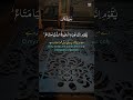Untitled video