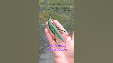 How to make a grasshopper from coconut leaves.