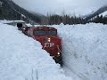 Tren Polar Ártico-Alaska-USA-Producciones Vicari.(Juan Franco Lazzarini)