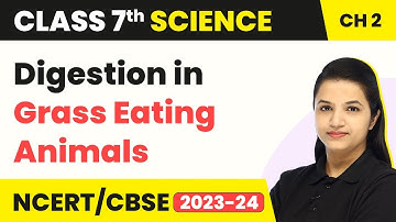 Class 7 Science Chapter 2 | Digestion in Grass Eating Animals - Nutrition in Animals