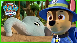 Jungle Pups Save a Baby Elephant - PAW Patrol Episode - Cartoons for Kids