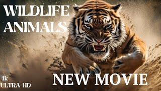 Animal New Short Film  #viral #film #anime