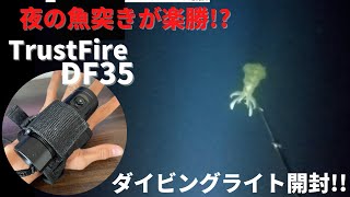 夜の魚突きが簡単すぎた!!ダイビングライトTrustFireDF35開封!!