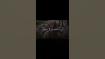 القليل من سورة ال عمران بتلاوة الشيخ محمد اللحيدان 🎧