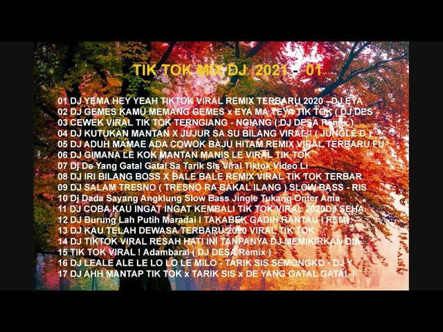 Tik Tok Mix DJ 2021 - 01 class=