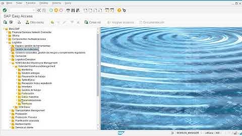 Curso SAP Maestro de Materiales y Producto