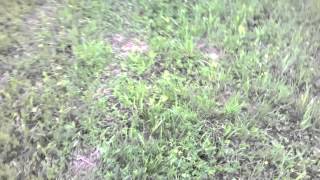 WP 20140531 002