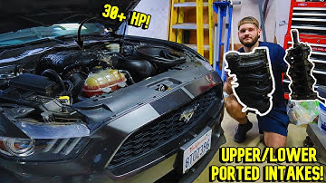 How to add hp to your new car! | 3.7 v6 mustang