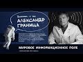 Александр Граница - Мировое информационное поле