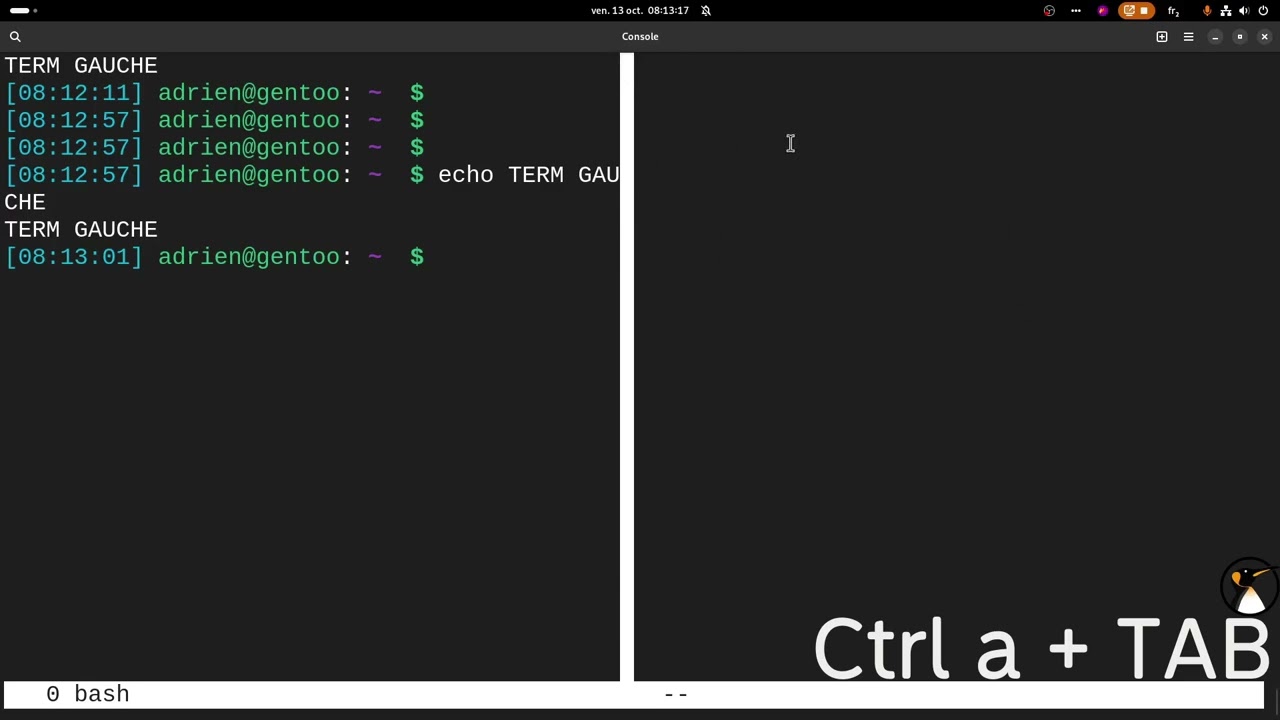 Screen  Utilisation avance du multiplexeur de terminal