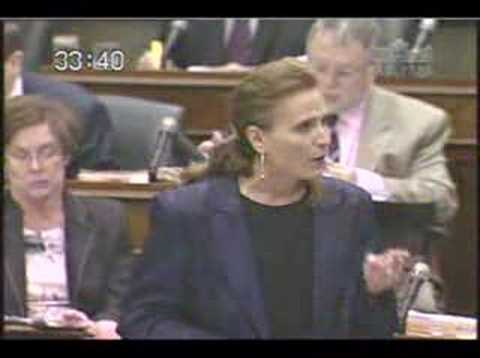 Thornhill MPP Peter Shurman grills government on Canac