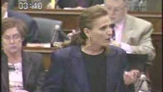 Thornhill MPP Peter Shurman grills government on Canac