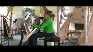 Dusty Strings Boulevard 34 Gut - Sound Sample