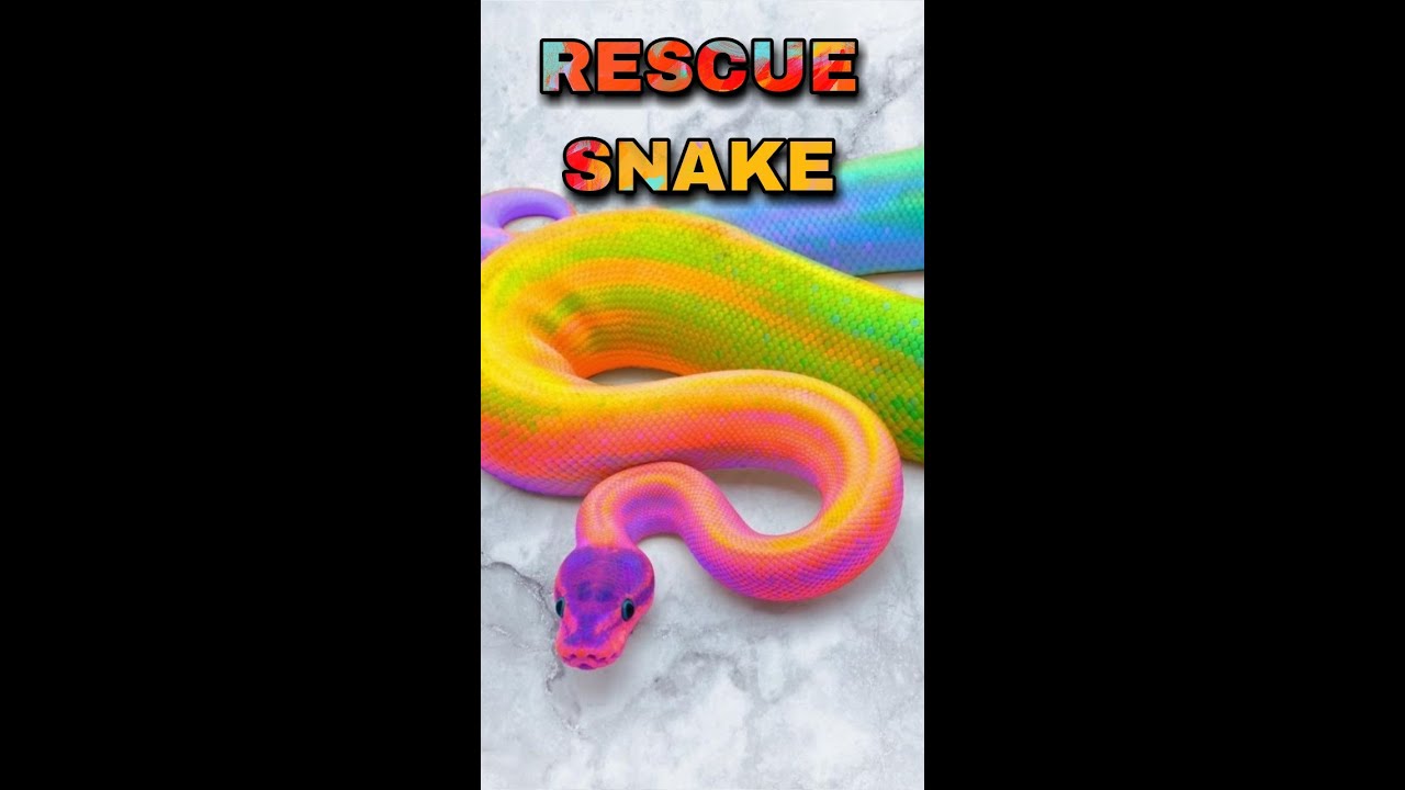 RESCUE SNAKE | Karpaga's channel