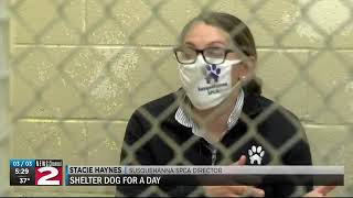 The Susquehanna SPCA Executive Director is doing -Max- hard time to raise awareness.