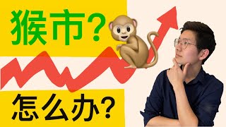 股票投资 | 猴市是什么? 我们应该怎么样去面对? 股市泡沫太大?【乐学成长空间】