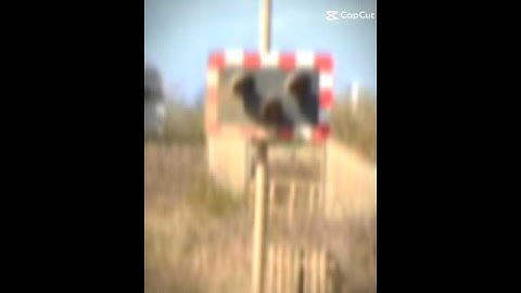 🔥🔥🔥💢 #levelcrossing #railway #sad #abandoned #levelcrossing #shorts #youtube #edit #historical