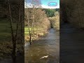 Natural relaxing sound of water in Rur valley#shorts