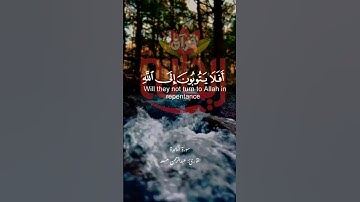 أفلا يتوبون إلى الله ويستغفرونه.. #عبدالرحمن_مسعد ##سورة_المائدة #ريحانة_قرآن #قرآن #تلاوات_خاشعة
