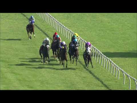video thumbnail for MONMOUTH PARK 8-11-23 RACE 7
