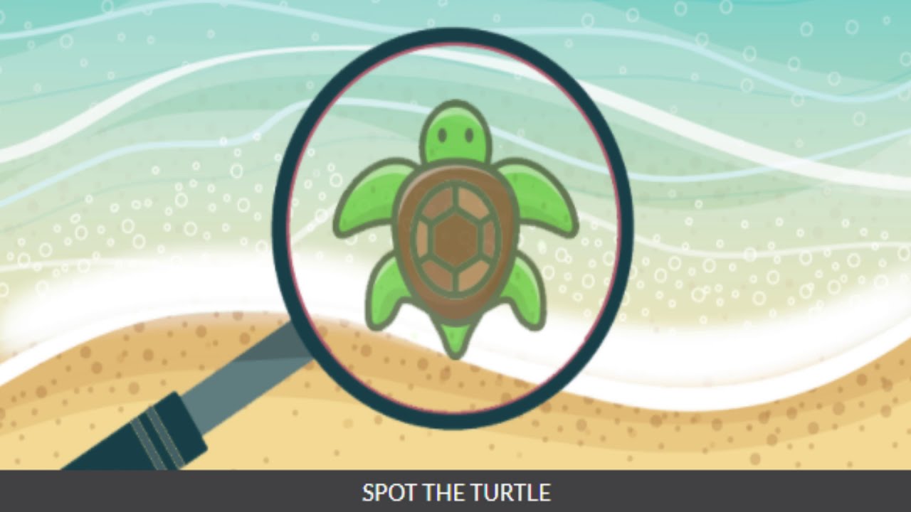 spot the turtle quiz Answers