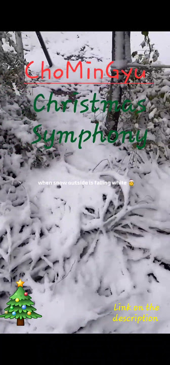 Forestella ChoMinGyu Christmas Symphony  https://youtu.be/4L6xywD1Ne0?si=t6yhVls9pNn6yPBK #alxsol
