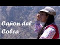 Cañón del Colca: El vuelo del cóndor, un oasis y trekking - En Ruta AQP