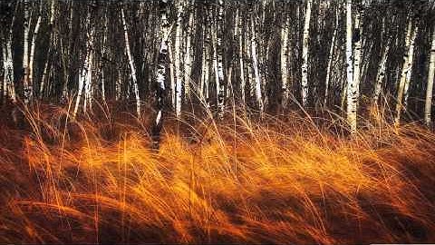 سورة الحاقة علي جريد العنزي