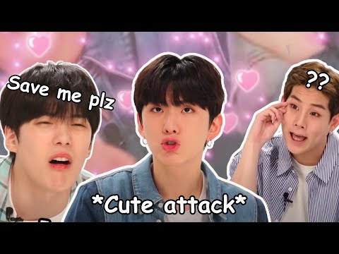 Monsta X funny moments that will make your day